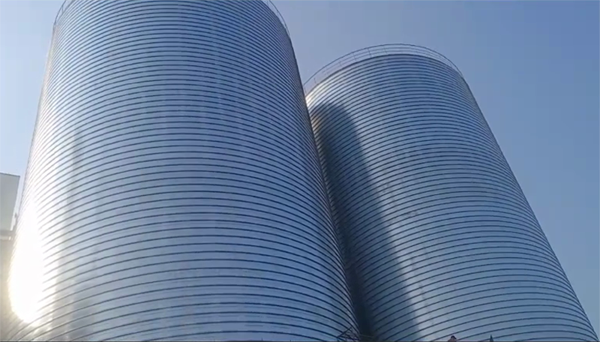 九台2座混凝土高架卷板仓